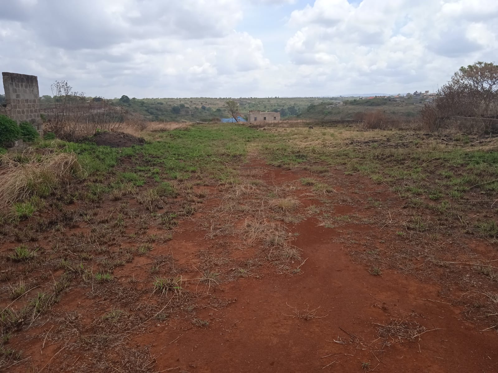 Plot Image 8